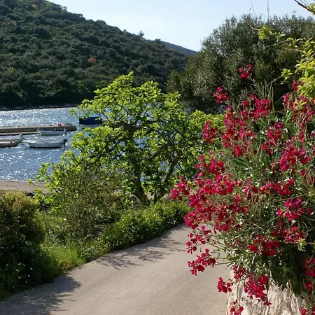 Vrbovica 4452d Lejlighed Korčula